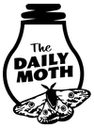 Daily Moth logo