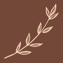 Outlaws Oasis logo