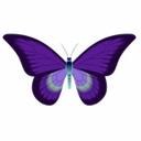 DWAVE logo